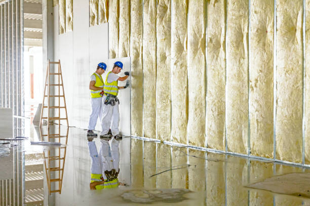 Best Crawl Space Insulation  in Warren, OH