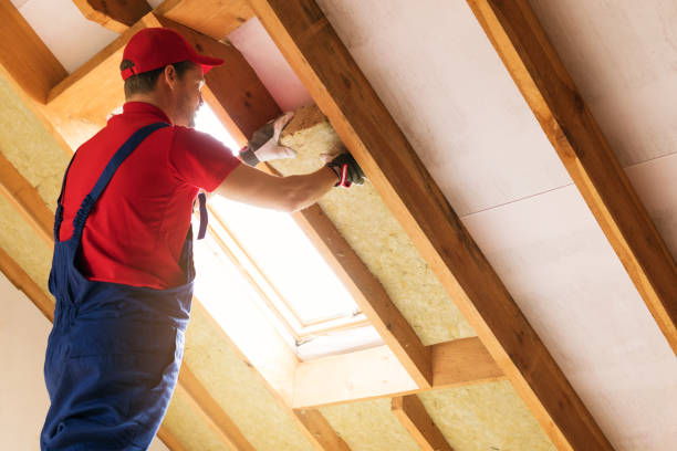 Best Batt and Roll Insulation  in Warren, OH